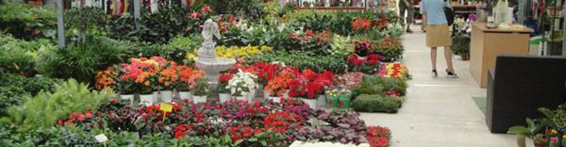 27540057_711264938997154_5852535183883933415_n