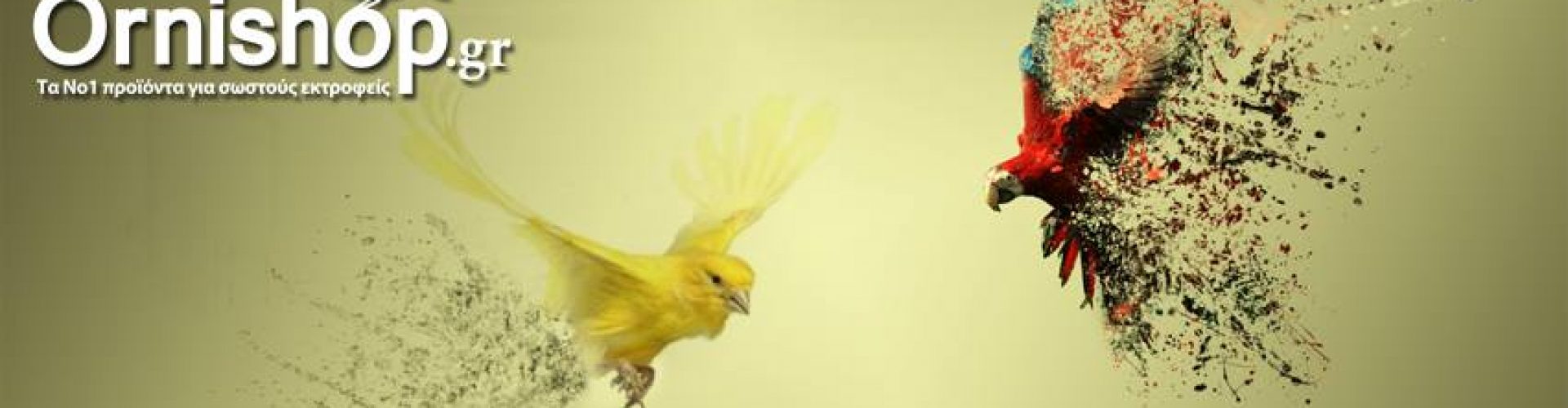 ornishop.jpg