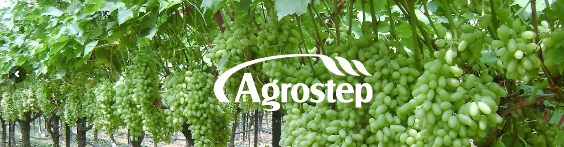 Στιγμιότυπο οθόνης (65)